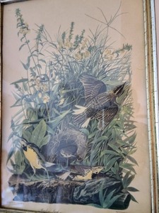 lot 459 image: Vintage Framed Prints