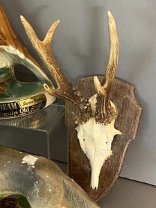 lot 331 image: Hunting Themed Decor