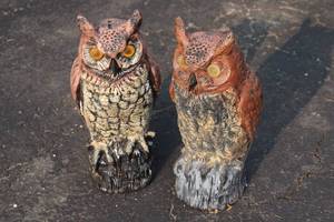 16 Ceramic Owls