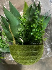 lot 57 image: (2) National Tree Company Pink 48 Artificial Magnolia Tree & (2) Nearly Natural 13 Agave and Maiden Hair Hanging Basket