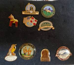 lot 212 image: Group of 9 collector hat pins
