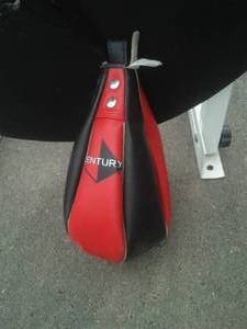 lot 46 image: Century Wall Mount Punching Bag System