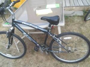 lot 172 image: Schwinn Pearl Creek Mens Bike. 18 Speed