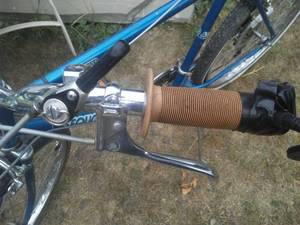 lot 173 image: Coast King Sequoia 10 Speed Mens Bike.