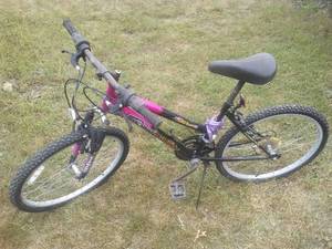 lot 176 image: Roadmaster MTN Sport SX. Nice Off Road Bike
