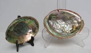 lot 15 image: 2 Large Natural Clam Shells