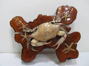 lot 142 image: Nautical Decor Crab & Starfish Mounted On Wood Slab
