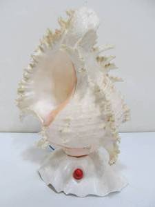 lot 143 image: Large Genuine Seashell Lamp