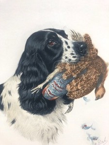 lot 277 image: Vintage 1930s Era Hand Signed Boris Riab Pheasant Hunting Spaniel Litho Print