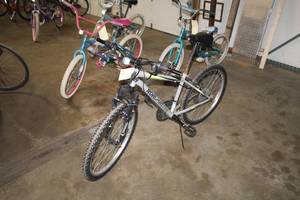 lot 260 image: Roadmaster Mens 21 Trail Bike with 16 Light Grey Frame