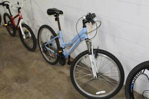 lot 276 image: Roadmaster Womens 20 Trail Bike with 16 Light Blue Frame