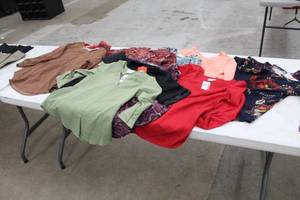 lot 204 image: Lot of (10) Womens Tops