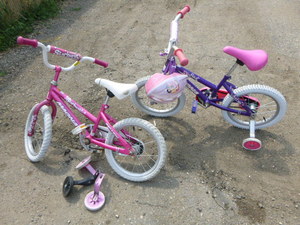 lot 143 image: 2 Youths Bicycles