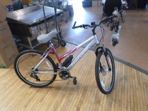 lot 154 image: Trax 21 Speed 21 Speed Bicycle