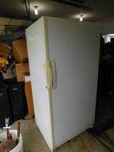 White Upright Freezer