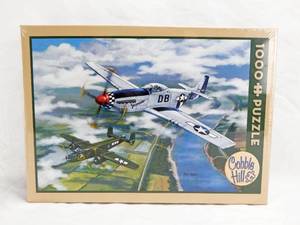 lot 47 image: Cobble Hill Ken Zylla Escort To Oshkosh 1000 Piece Sealed Puzzle