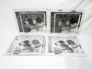 lot 96 image: Set of Vintage 1961 Stanford Fenelle Tops In The Field Glass Color Separation Plates