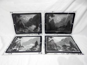 lot 97 image: Set of Vintage 1961 Paul Detlefsen Natures Masterpiece Glass Color Separation Plates
