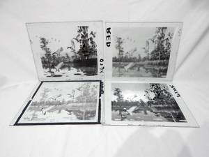 lot 100 image: Set of Vintage 1957 Richard Bishop Flights End - Mallards Glass Color Separation Plates