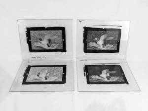lot 95 image: Set of Vintage 1989 Richard Bishop Safe Haven Glass Color Separation Plates