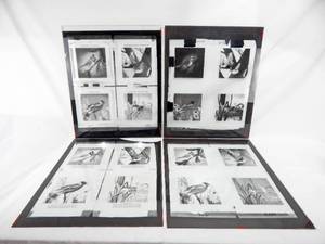 lot 104 image: Set of Vintage 1959 Tom Dolan Birds Of America Glass Color Separation Plates