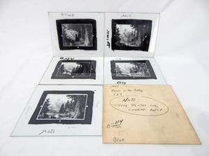 lot 106 image: Set of Vintage 1955 Paul Detlefsen Down in the Valley Glass Color Separation Plates