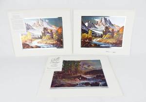 lot 205 image: Lot of 9 Vintage Robert Wood Natures Wonders and Far Horizons Color Foil Etch Prints