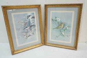 Bird prints