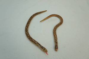 Wooden snakes