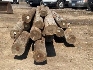 lot 31-A image: Lot Of Take-Out Treated Posts
