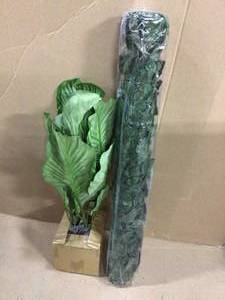 30 in. Garden Accents Calathea Plant Customer Returns See Pictures