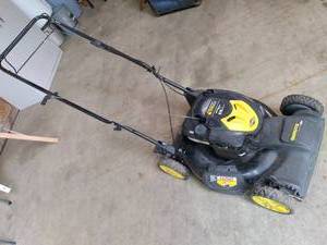 Brute Ready Start 190cc 6.75 ft-lbs...