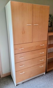 lot 5 image: Techline Storage Armoire