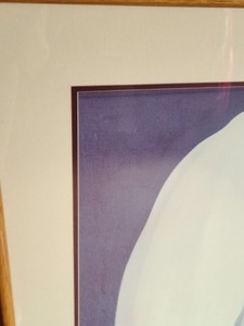 lot 9 image: Framed Tulip Print