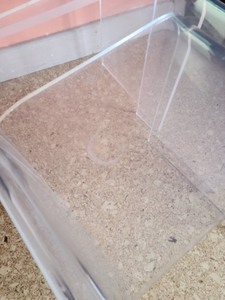 lot 10 image: Lucite Nesting Tables
