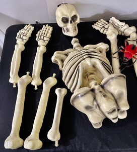 Bugs, Bats and a Skeleton