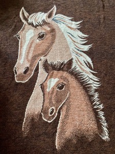 Horse Themed Blanket