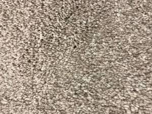 lot 132 image: 318 SF of Mohawk Winward Point Thick Plush Carpet- 26.5x12