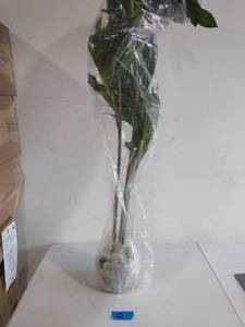 lot 5 image: Real Touch 6 ft. Dracaena Silk Plant