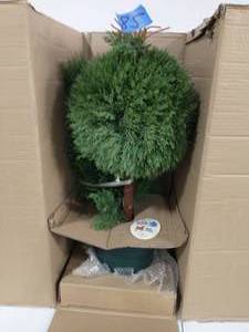 lot 85 image: national tree company 5 ft. Juniper Cone and Ball Topiary Tree in Green Round Plastic Pot