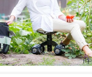 lot 17 image: VERTEX Garden Rocker Rolling Seat