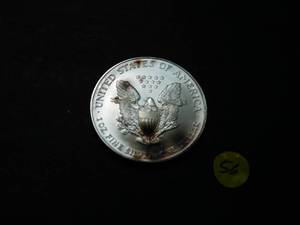 2004 American Silver Eagle Toned