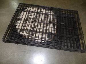 Dog Kennel