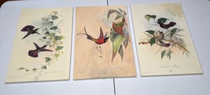 lot 172 image: (3) Beautiful Colored Lithographs