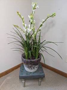 lot 112 image: Beautiful Stand & Planter