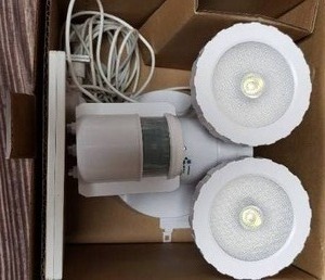 lot 67 image: Motion Security Light
