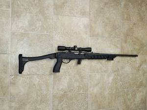 Savage 22 cal  Rifle