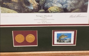 Walleye Picture Framed