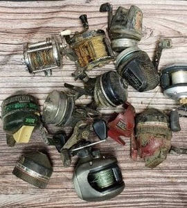 Fishing Reels