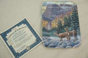Collector plates